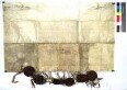 Johann Ludwig, Wildgraf zu Dhaun und Kyrburg, Rheingraf zum Stein, Graf zu Salm, Herr zu Fünstingen und Büttlingen, Generalmajor und Schenk Heinrich Kasimir zu Limpurg beurkunden die Heiratsabrede zwischen letzterem und des genannten Rheingrafen Tochter Eleonore Sophia Dorothea, Heiratsgut und Widerlegung je 4000 Gulden, Morgengabe 1000 Gulden, Erhöhung auf Obersontheim