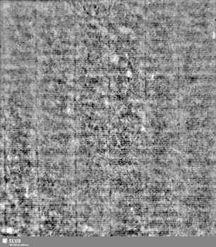 Lilie / CVC = S.1/2