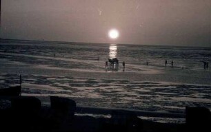 Döse: Sonnenuntergang über dem Watt