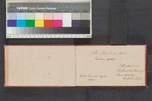 Einträge Bl. 25 - 53