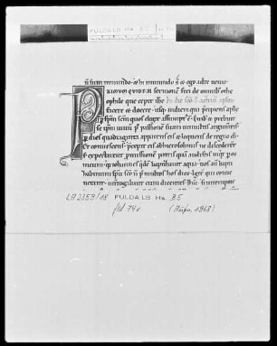 Lectionarium Missae — Initiale P, Folio 74verso