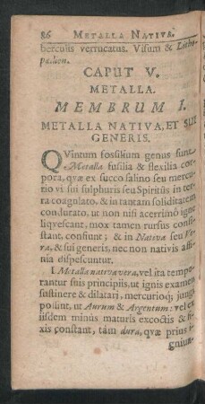 Caput V. Metalla.