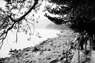 Uferweg am Schluchsee