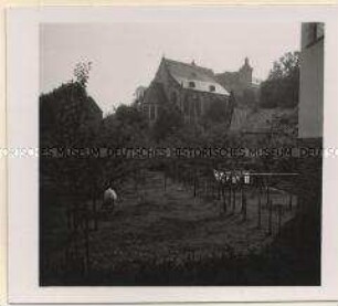 Schleiden
