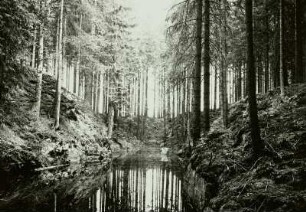 Eibenstock, Westerzgebirge, Kesseler Bingenzug