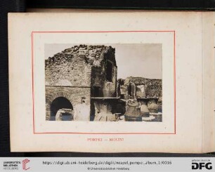 Pompei - Mollini