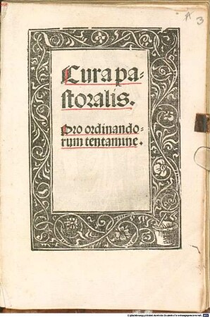 Cura pastoralis. Pro Ordinandorum Tentamine