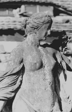 Röhrsdorf, Schloss, Flora vor der Orangerie, Detail