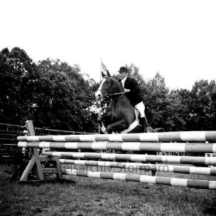 Kreispferdesportverband Stormarn e.V.: Exer: 9. Kreispferdeleistungsschau: Teilnehmer beim Springreiten