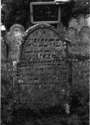 Grabstein 372 (Index: 100102875) Material: Sandstein Zustand: stark verwittert, eingesunken, weitgehender Textverlust Maße HxBxT: 90x52x10 cm Beschreibung: Stele, eingezogener Rundbogenabschluss, Schriftfeld eingetieft, Bogen schließt nach unten mit Zackenfries ab, im Bogenfeld eingeritzte Ranken Symbolik: Zackenfries, Ranken: Grabstein 372