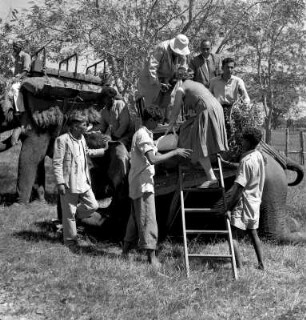 Passagiere besteigen Arbeitselefanten im Bandipur-Nationalpark