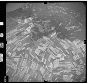 Luftbild: Film 81 Bildnr. 490