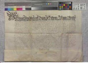 Kelsterbach: Restrictionsbrief Heinrichs v. Isenburg, Graf zu Büdingen, wodurch derselbe den in dem Kaufbrief über die Dörfer Langen, Egelsbach, M...