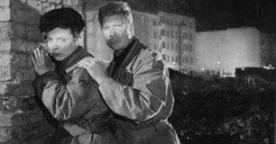 Freddy und die Melodie der Nacht