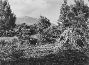Mount Meru : Blick auf den Vulkan Mount Meru