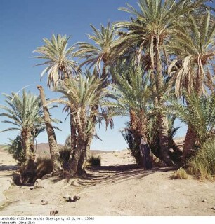 Im Mittleren Sinai