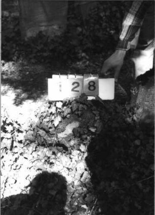 Grabstein 128 (Index: 99789927) Material: Sandstein Zustand: sehr stark verwittert, Text kaum lesbar Maße HxBxT: 36x42x15 cm Besonderheit: Kindergrab: 128