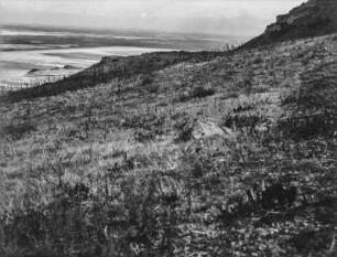 Lake Bonneville : Uferlinie des Lake Bonneville im Oquirrh-Gebirge am Südflügel