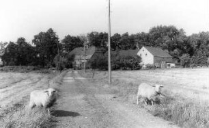 Malschwitz. Blick zur Niedermühle