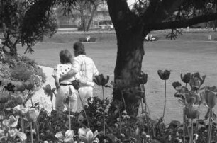 Botanischer Garten. Spaziergang an sonnigem Pfingsten