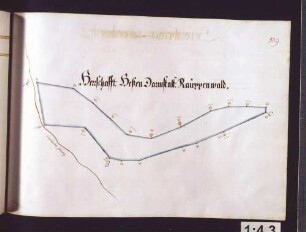 Sternenfelser Hut: Hessen-Darmstädtischer Rauppenwald