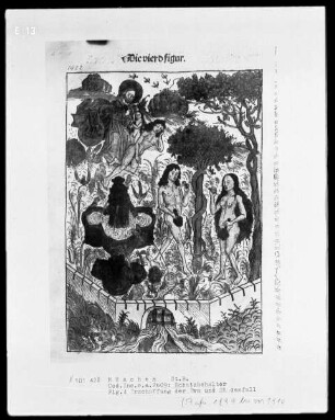 Schatzbehälter oder Schrein der waren reichtümer des heils und ewyger seligkeit genannt — Fig. 4, Erschaffung der Eva und Sündenfall