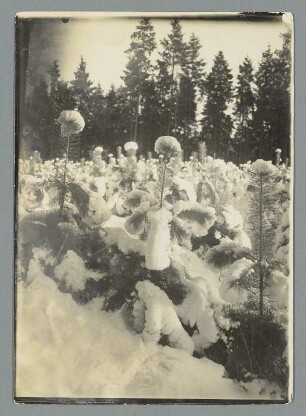 Winterzauber