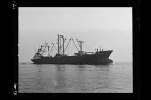 Gebe Oldendorff (1971)