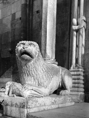 Löwe : Löwe (um 1178). Modena, San Geminiano, Südseite, Porta Regia, westliche Baldachinsäule