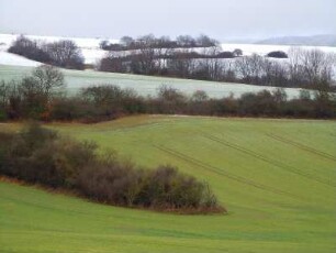 Nordhausen - Neuschnee im Südharz : Neuschnee bis in die Niederungen im Südharzgebiet, aufgenommen am 30. Dezember 2011 bei Nordhausen