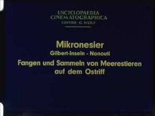 Mikronesier (Gilbert-Inseln, Nonouti) - Fangen und Sammeln von Meerestieren auf dem Ostriff