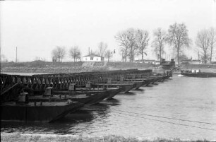 Freistett: Rhein-Pontonbrücke zum elsässischen Ufer
