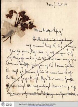 Brief vom 12.11.1905