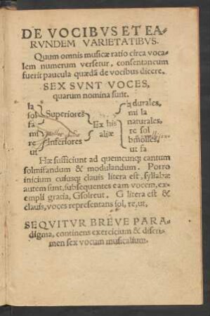 De Vocibus Et Earundem Varietatibus.