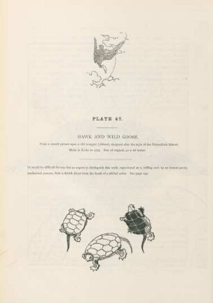 Plate 47. Hawk and wild goose
