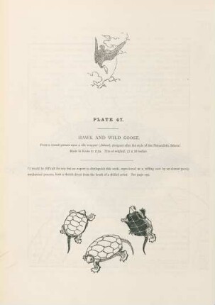 Plate 47. Hawk and wild goose