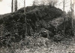 Bad Brambach. Ortsteil Feldpöhl. Gneisklippe am Nordhang des Fleissenbachtales