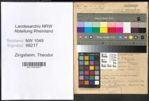 Entnazifizierung Theodor Zingsheim , geb. 27.04.1909 (Stellmacher)