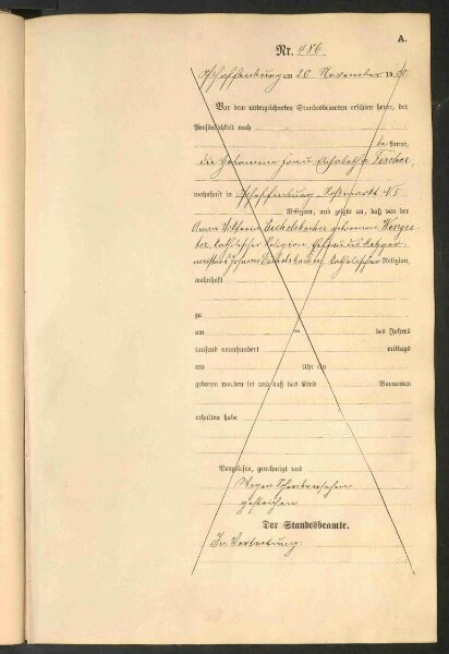 Standesamtsbuch der Stadt Aschaffenburg: Geburten 365/1900 - 184/1901