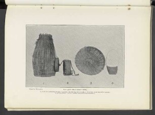 Plate LXXXI.