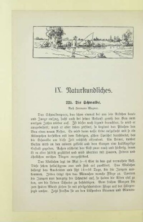 IX. Naturkundliches