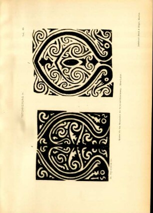 Taf. 89. Tätowierung H. Muster für das Mittelstück der Schenkeltätowierung. Uma-Luhat