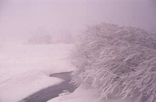 Winterlandschaft im Erzgebirge (Schneesturm, Nebel)