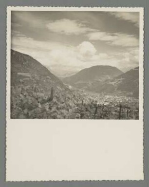 Blick auf den Rosengarten