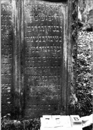 Grabstein 753 (Index: 99751602) Material: Sandstein Zustand: leicht verwittert Maße HxBxT: 164x105x15 cm Beschreibung: Doppelstele, zwei Schriftfelder eingetieft Symbolik: Pinienzapfen, Wappenschilde, Ranken, Muscheln, Schriftband, geometrisches Fries: Grabstein 753B
