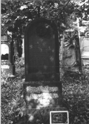 Grabstein 598 (Index: 99895344) Material: Sandstein Zustand: gut Maße HxBxT: 155x49x19 cm Beschreibung: Stele mit Rundbogenabschluss; Sockel Symbolik: Rosette: Grabstein 598 (1)