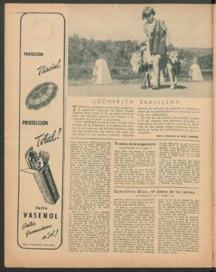 Lecherita brasileña