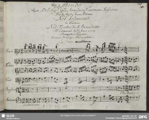 Solimano. Excerpts - Mus.1-J-12,11 : S, orch, b
