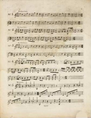 25 sonatines ou exercices faciles : à l'usage des commencens ; pour la guitarre ; op. 80