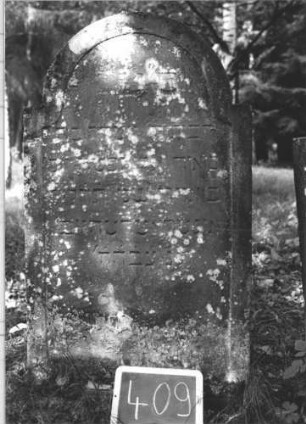 Grabstein 409 (Index: 99895863) Material: Sandstein Zustand: bewachsen Maße HxBxT: 124x66x8 cm Beschreibung: Stele mit eingezogenem Rundbogenabschluss: Grabstein 409 (1)